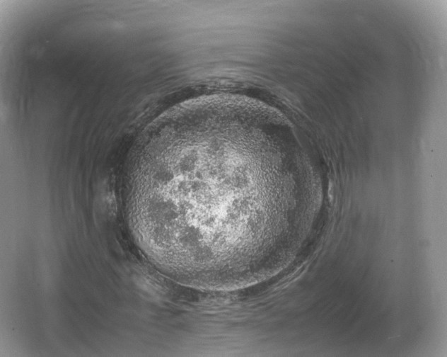 X0000067480771200604101228