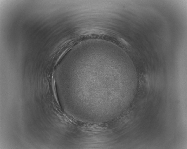 X0000067480774200604101228