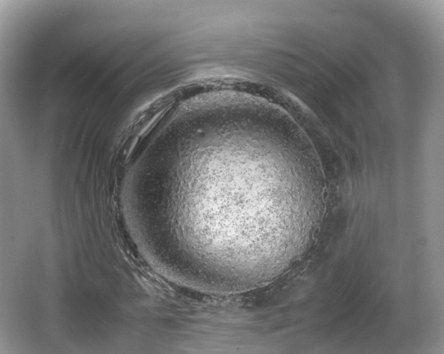 X0000067480775200604101228