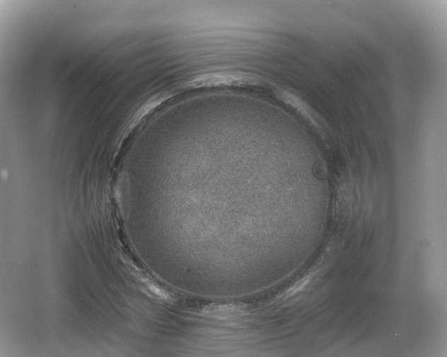 X0000067480778200604101228