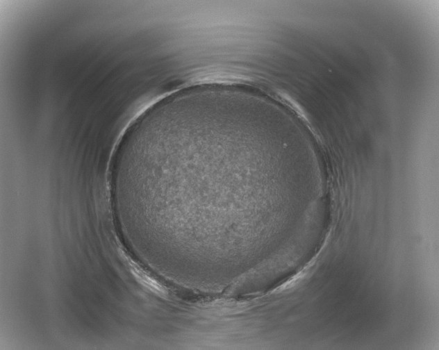 X0000067480779200604101228