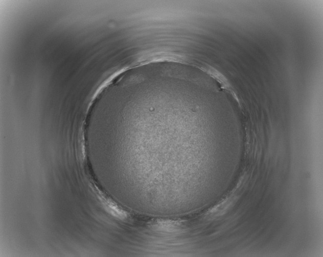 X0000067480782200604101228