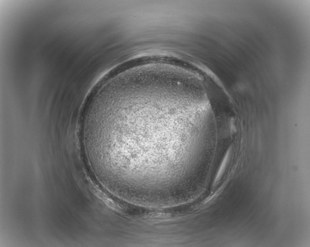 X0000067480783200604101228