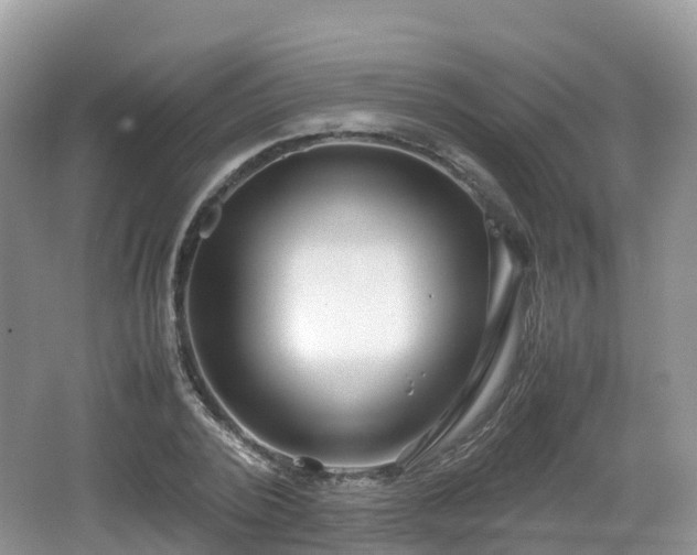 X0000067480784200604101228