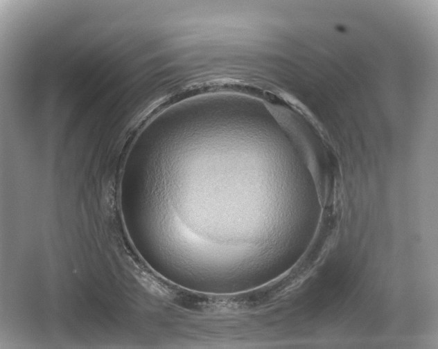 X0000067480785200604101228