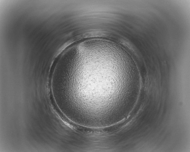 X0000067480786200604101228