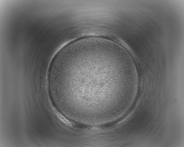 X0000067480787200604101228