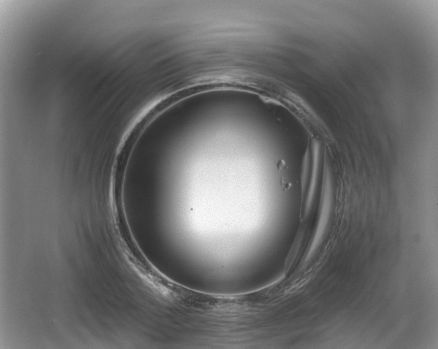 X0000067480788200604101228