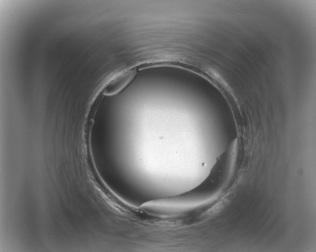 X0000067480789200604101228