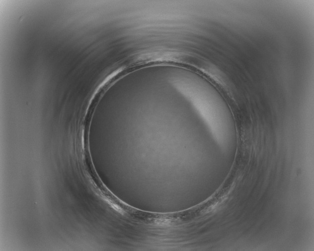 X0000067480790200604101228