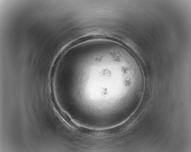 X0000067480791200604101228