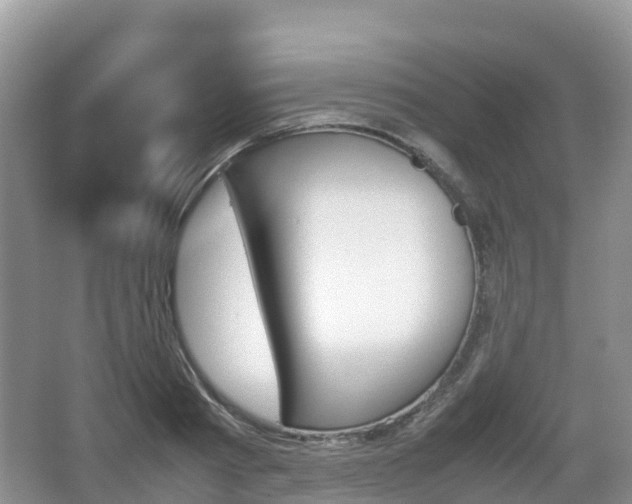 X0000067480793200604101228