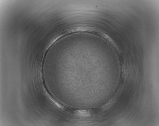 X0000067480794200604101228