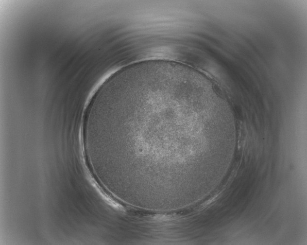 X0000067480796200604101228