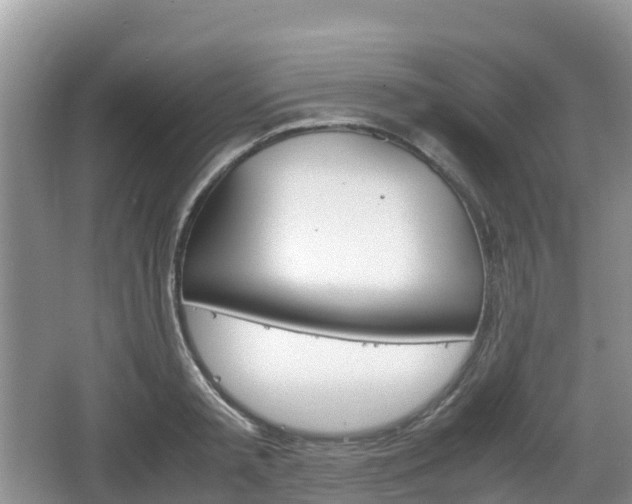 X0000067480797200604101228