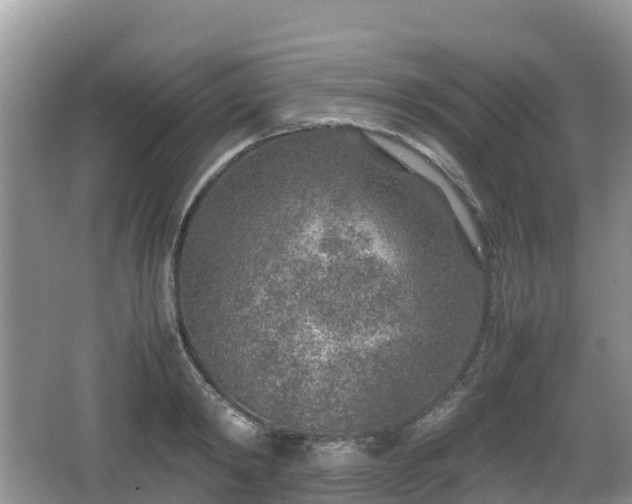 X0000067480798200604101228