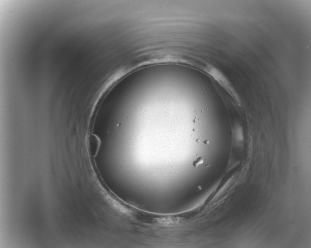 X0000067480805200604101228