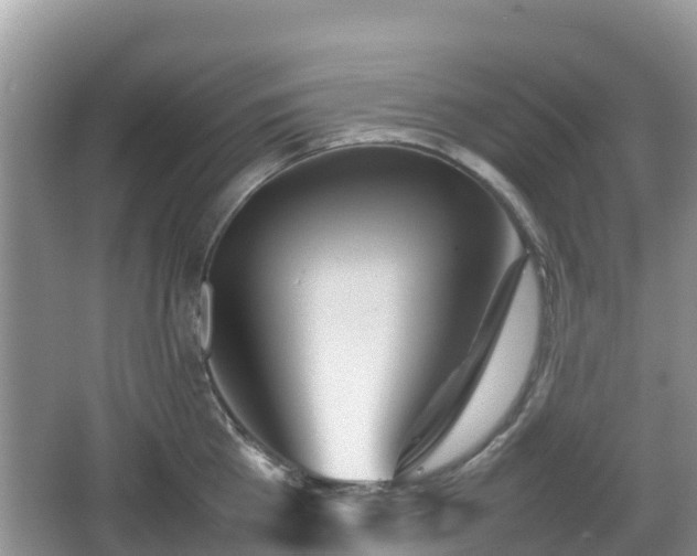 X0000067480809200604101228