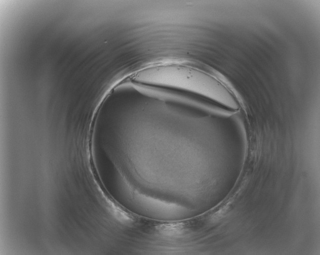 X0000067480810200604101228