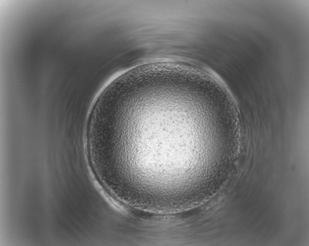 X0000067480811200604101227