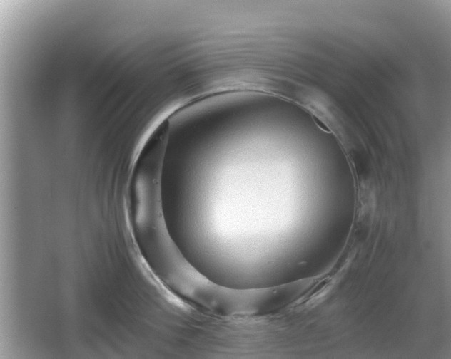 X0000067480812200604101227