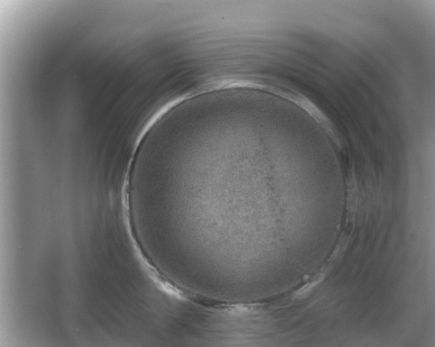 X0000067480814200604101227