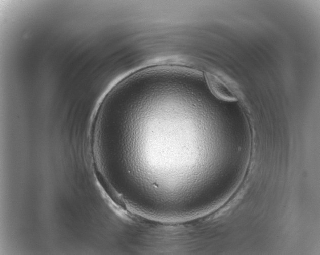 X0000067480816200604101227