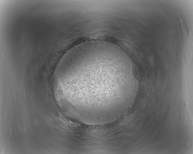 X0000067480817200604101227