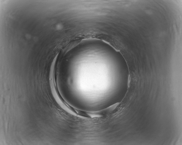 X0000067480818200604101227