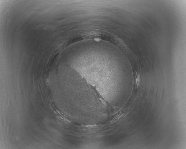 X0000067480819200604101227