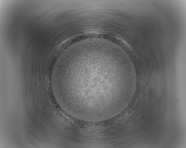 X0000067480821200604101227