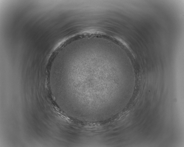 X0000067480823200604101227