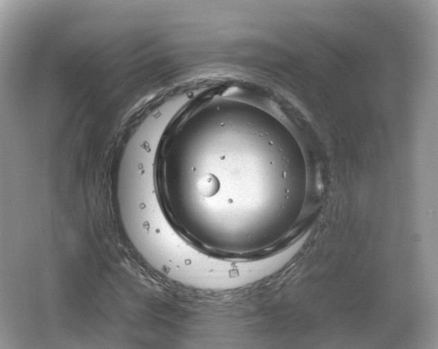 X0000067480824200604101227