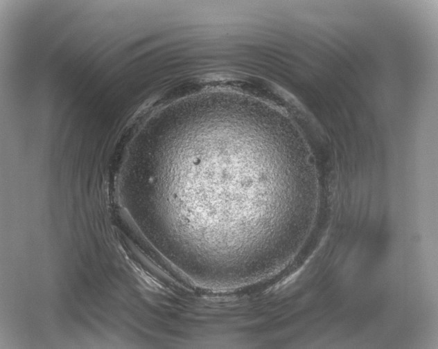 X0000067480825200604101227