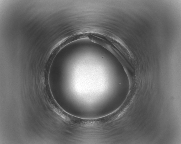 X0000067480826200604101227