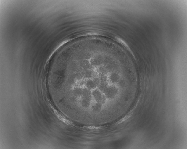 X0000067480827200604101227