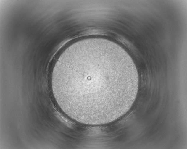 X0000067480828200604101227