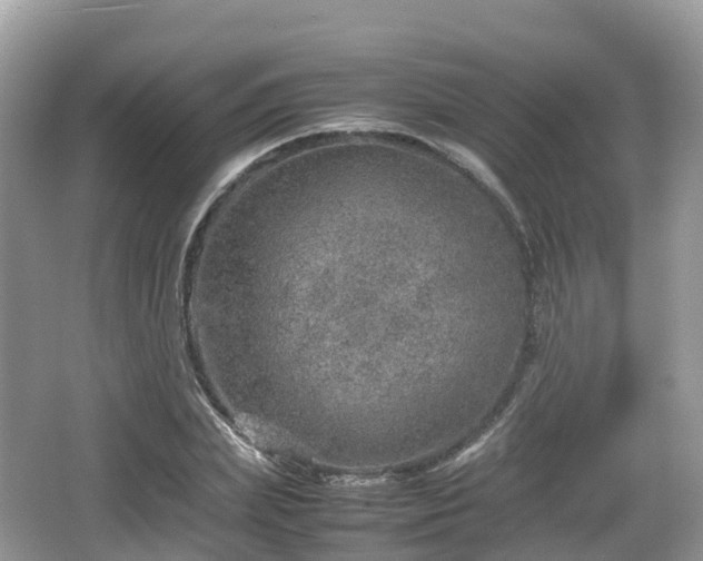 X0000067480831200604101227