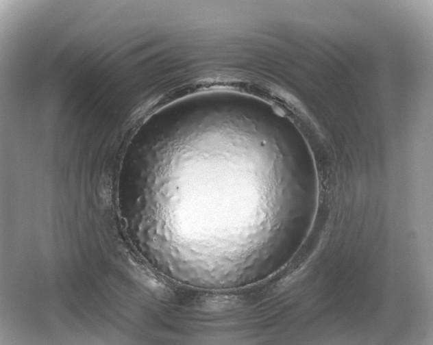 X0000067480833200604101227