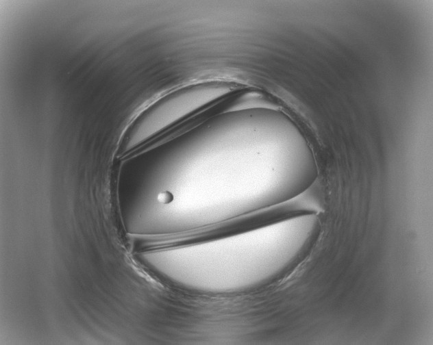 X0000067480834200604101227