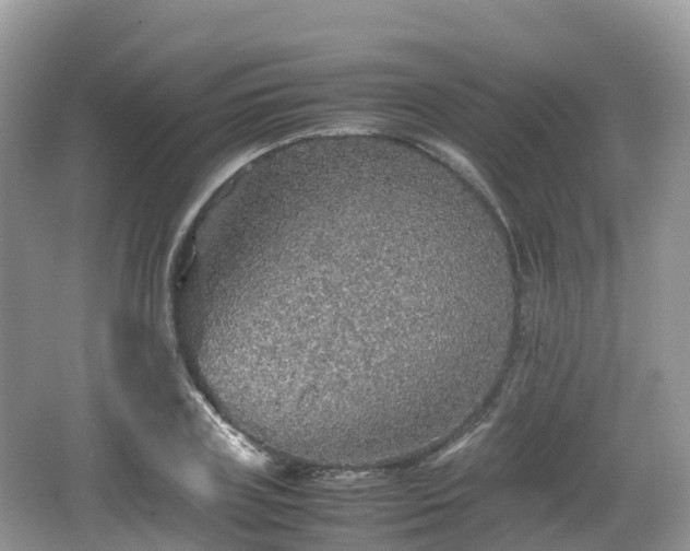 X0000067480835200604101227