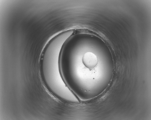 X0000067480838200604101227