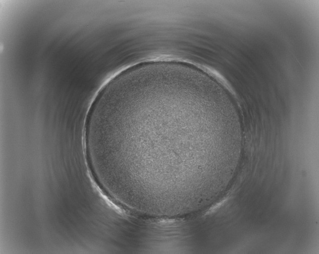 X0000067480839200604101227