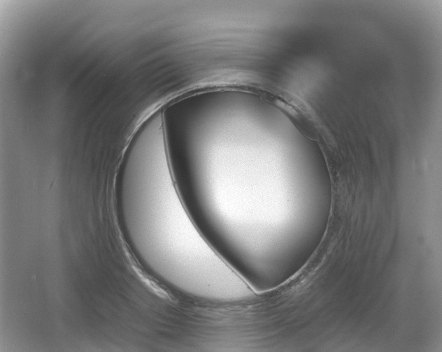 X0000067480842200604101227