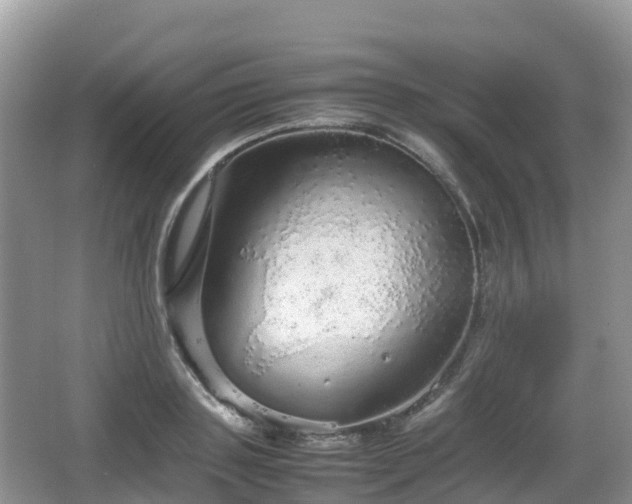 X0000067480843200604101227