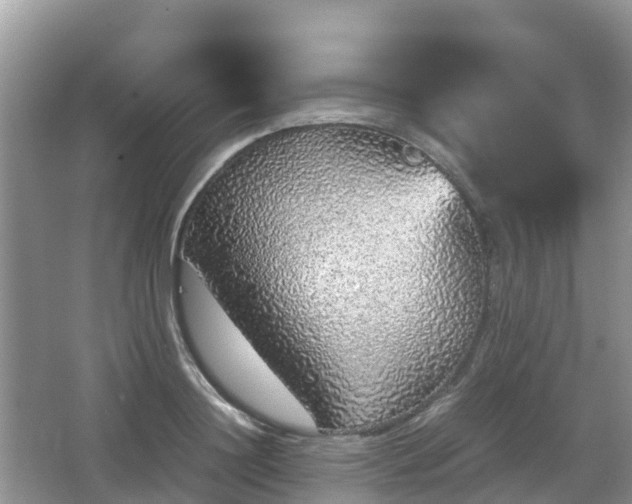 X0000067480844200604101227