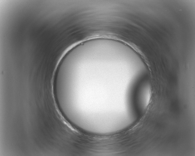 X0000067480846200604101227