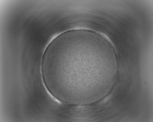 X0000067480847200604101227