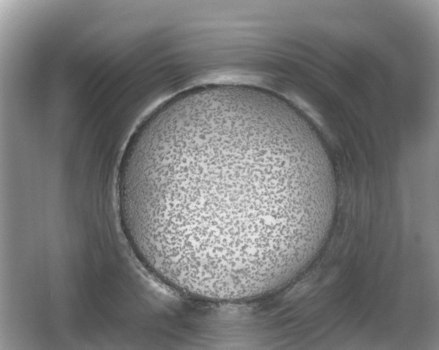 X0000067480848200604101227