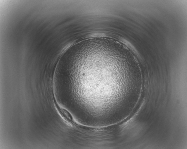 X0000067480849200604101227